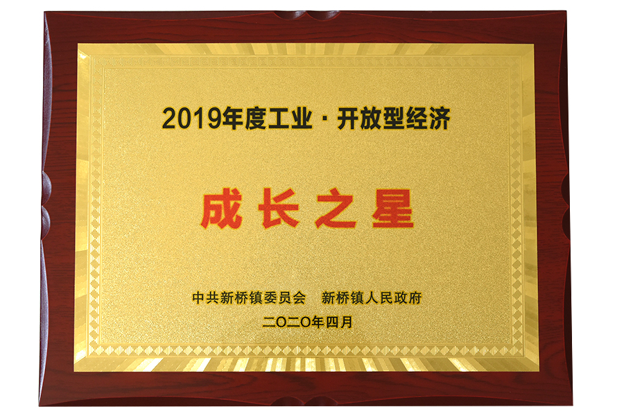 Ster van de Vereniging van Succes